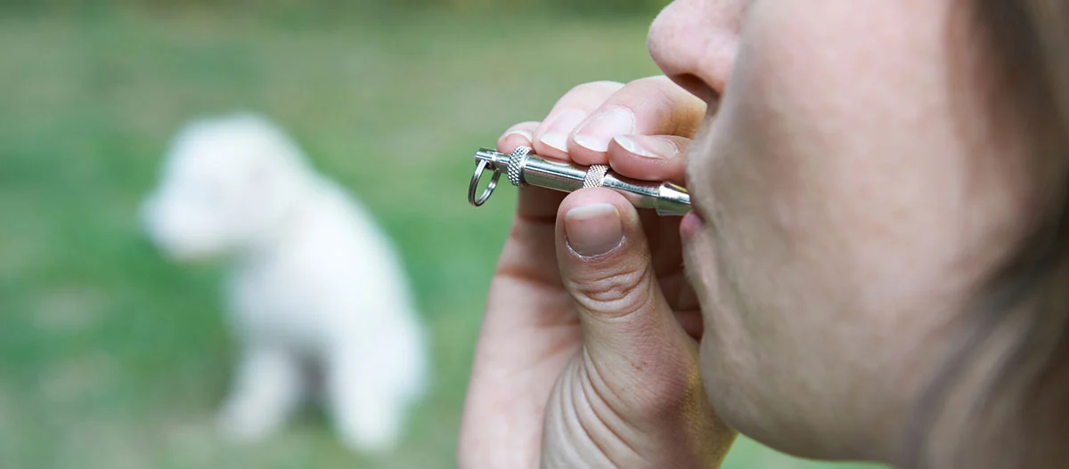 Eine Frau ruft ihren Hund mit einer Hundepfeife