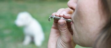 Eine Frau ruft ihren Hund mit einer Hundepfeife