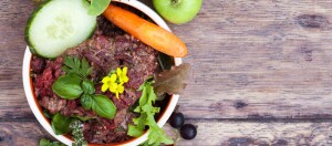 Frischfutter für Hunde in einem Napf