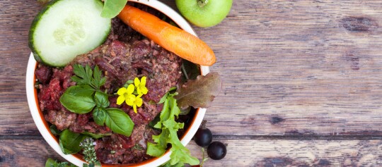 Frischfutter für Hunde in einem Napf