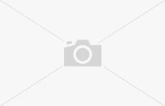 Ein Hund schnĂŒffelt entlang einer Wiese