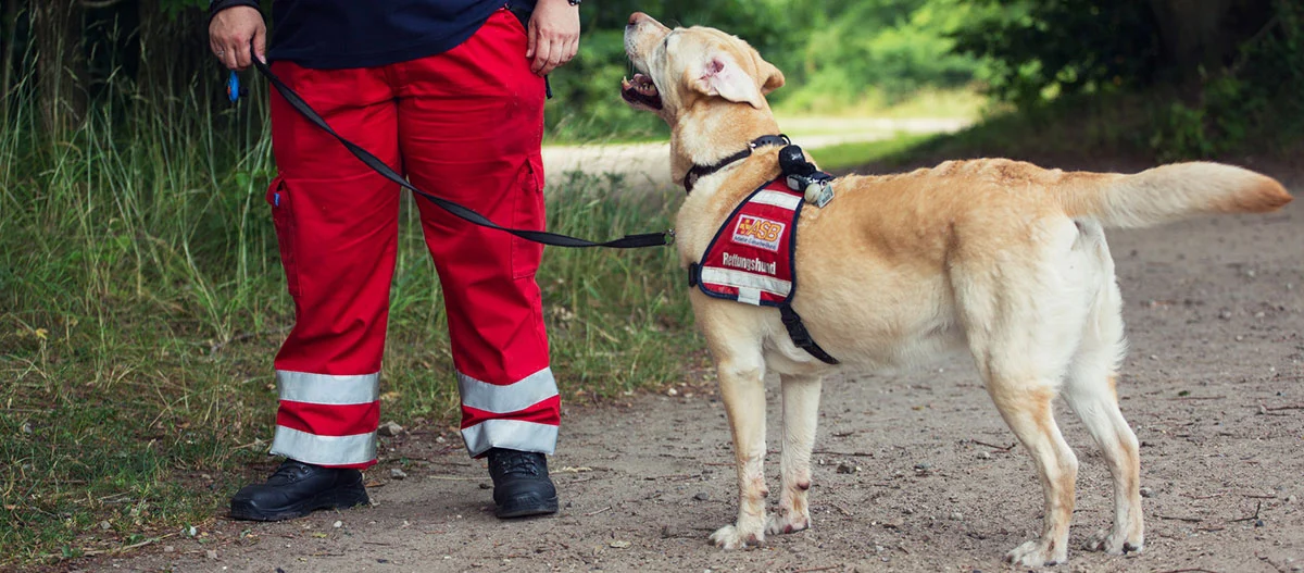 Ein Rettungshund beim Training.