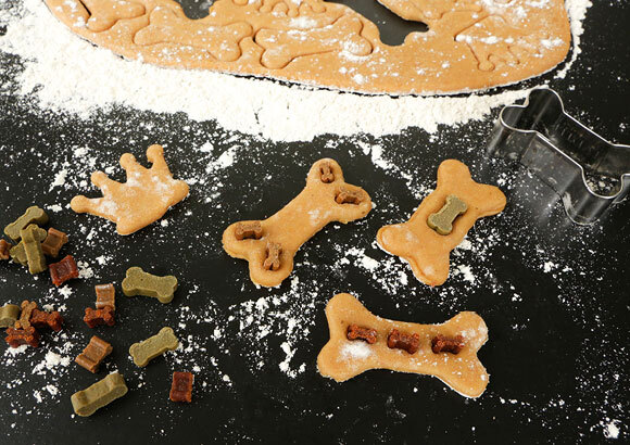 Ratgeber_Hund_Hundekekse_580x410 DIY Hundekekse