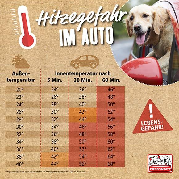 Infografik-Hitzefalle-