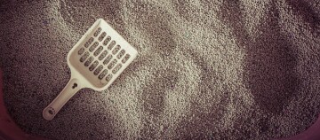 Katzenstreu und Streuschaufel.