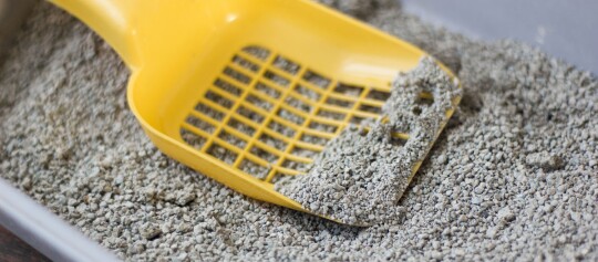 Katzenstreu und Streuschaufel.