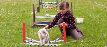 Ein Kind übt mit seinem Kaninchen Agility
