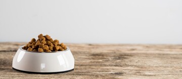 Ein weißer Napf aus Metall voller Katzenfutter