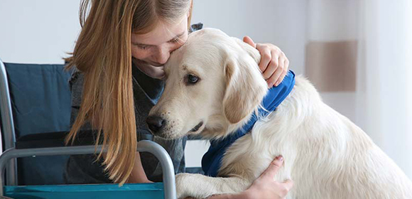 ratgeberlink-vita-580-280 Begleithund