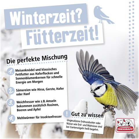 Winterzeit_480x480 Vögel füttern im Winter