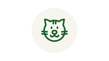 Icon Katze Rassen