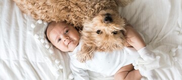 Ein Hund kuschelt mit einem Baby.