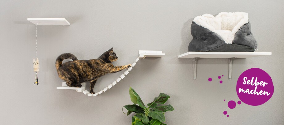 DIY Catwalk DIY Katze Catwalk