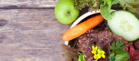 Ein Napf voll Rohkost-Hundefutter.