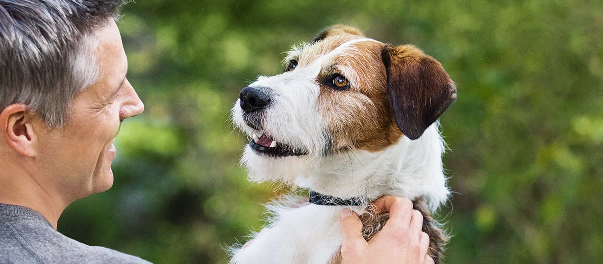 Ein Besitzer streichelt seinen Hund.
