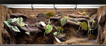 Eine leeres Terrarium.