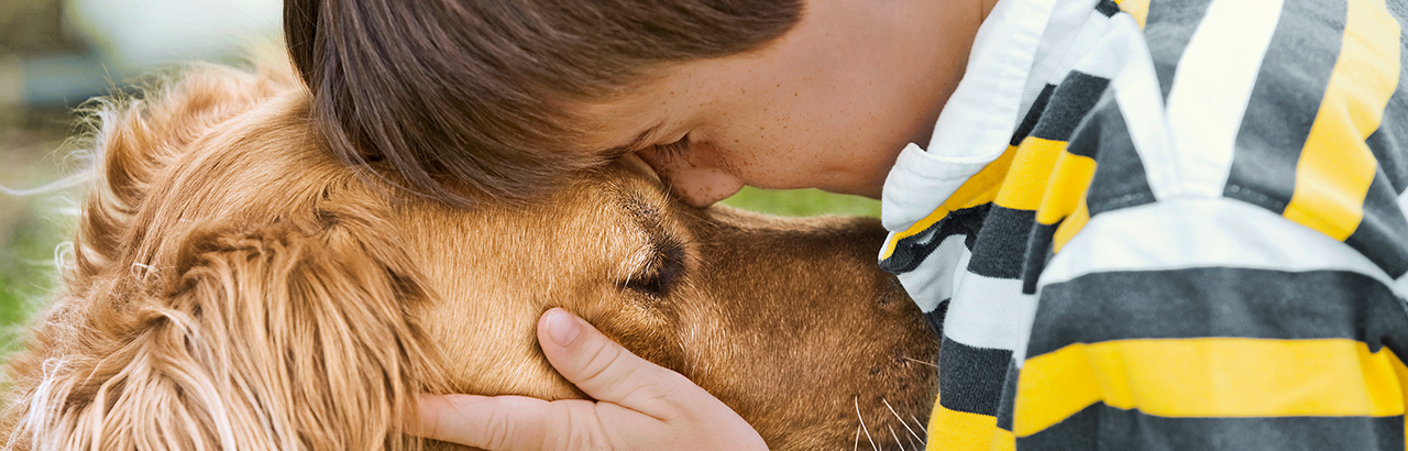 1.1_Spenden_teaser_Grafik-12_desktop_100%_1280x410 Tierisch engagiert spenden