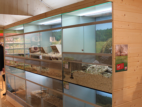 Adoptierstube Fressnapf Tübingen Adoptierstube Fressnapf Tübingen