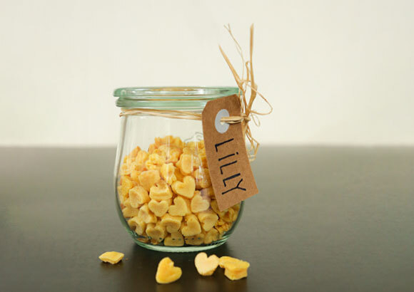 Anleitung um Snacks für Katzen selber zu backen Anleitung um Snacks für Katzen selber zu backen