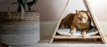 Eine Katze sind im selbstgemachten Katzenhaus