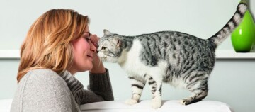 Eine Katze schnuppert an der Nase einer Frau