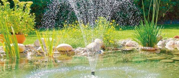 Blick auf einen Teich