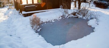 Gartenteich im Winter