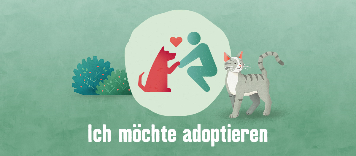 -5f3579d447cb7--5f3579d447cb9TE_adoptieren_1200x527.jpg Tierisch engagiert adoptieren