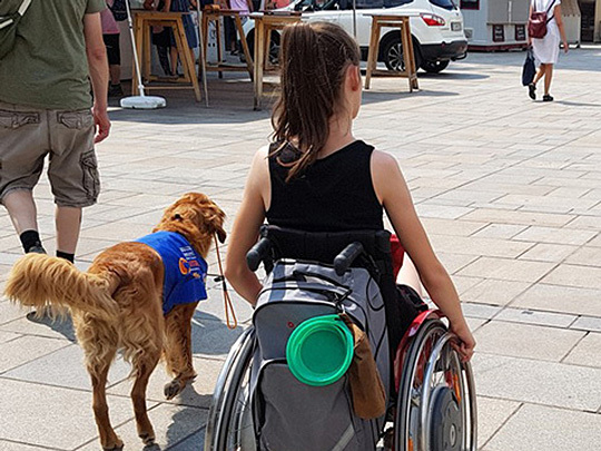 vis_querido_und_sophia_in_der_stadt-5f4ccefe9a358 Assistenzhund