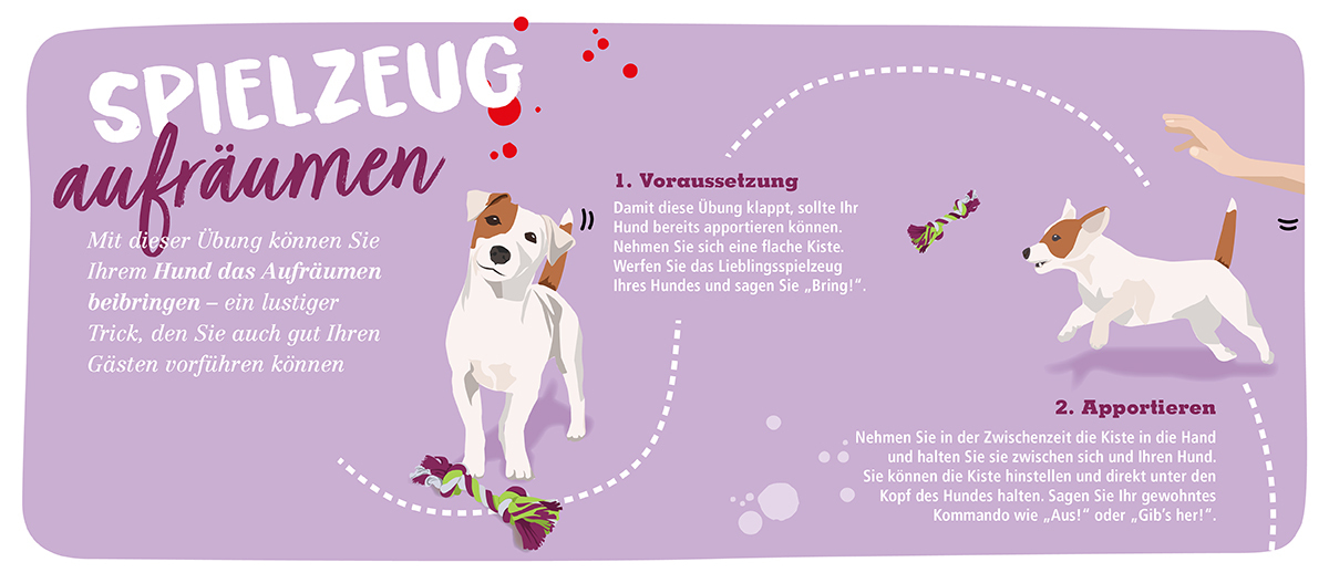 02_0620_Online_Infografik_Aufraeumen_Bild1_1200x527px Eine Grafik für Hund um Ihnen beizubringen, wie sie Spielzeug aufräumen.