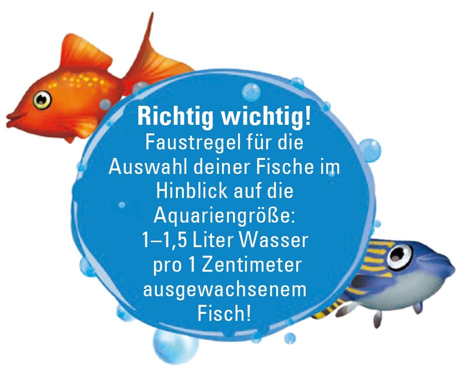Fischwahl Tipps für Kinder