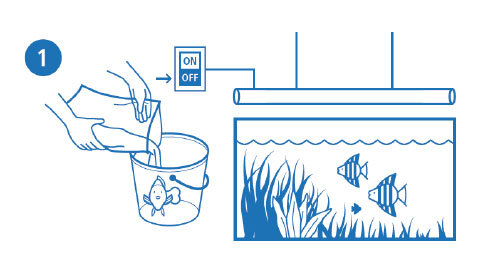 Schritt1-Fisch Schritte zum befüllen eines Aquariums