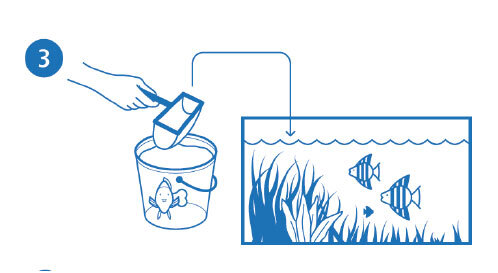 Schritt3_Fisch Schritte zum befüllen eines Aquariums