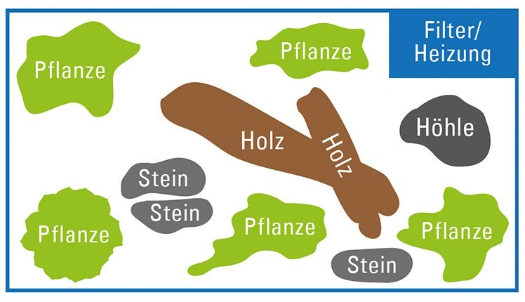 Schritt4 Schritte zur Einrichtung des Aquariums.