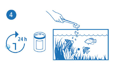 Schritt4_Fisch Schritte zum befüllen eines Aquariums