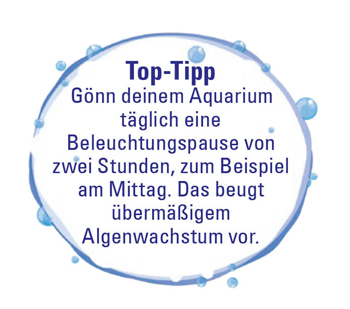 Tipp_Beleuchtung Tipps für Kinder