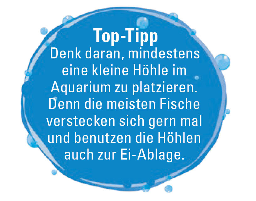 Tipp_Hoehle Tipps für Kinder