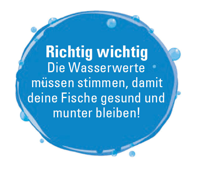 Tipp_Wasser Tipps für Kinder