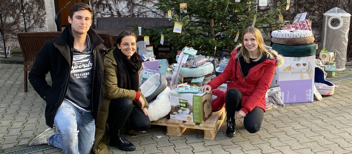 Tierheimwünsche werden wahr