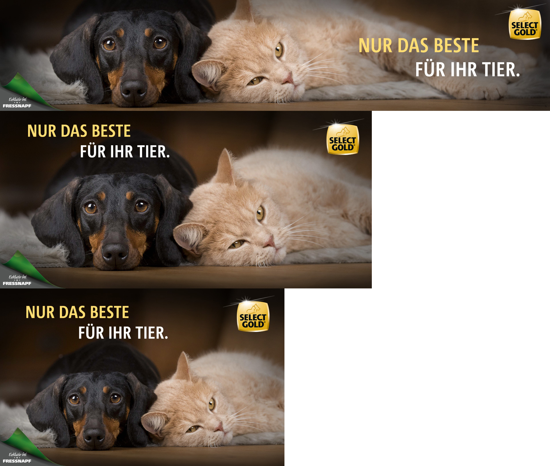 20130_SG_Markenshop_Slider_Einstieg_Generisch_1920x1627px_Aurora_Co-Branding Select Gold Markenshop Einstiegsseite