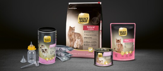 Select Gold Markenshop Katze Ernährungskonzepte Select Gold Wachstum