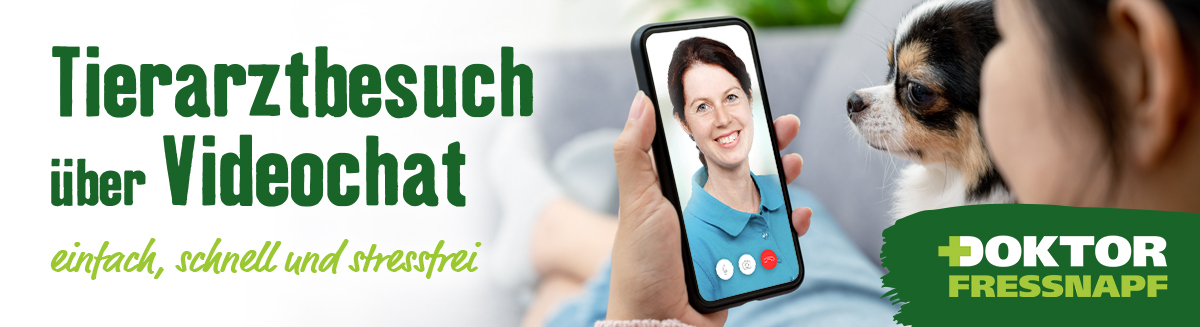 dr-fressnapf_teaser_1200x327