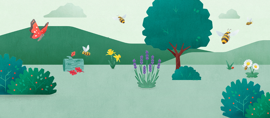 Gutes tun für mehr Artenvielfalt Hilf der Biene