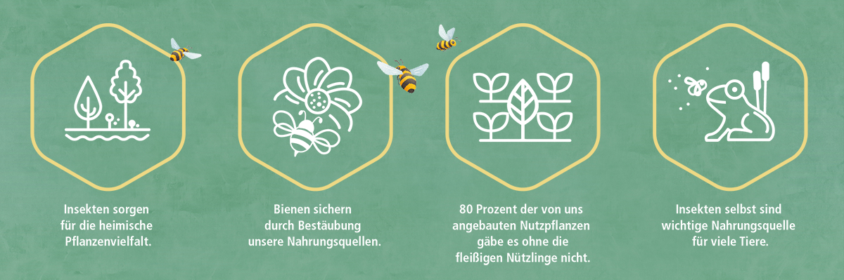 FN_bienen_Wabe_Icons_Grün Hilf der Biene