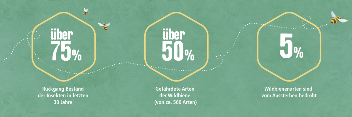 FN_bienen_Wabe_Zahlen_grün Hilf der Biene