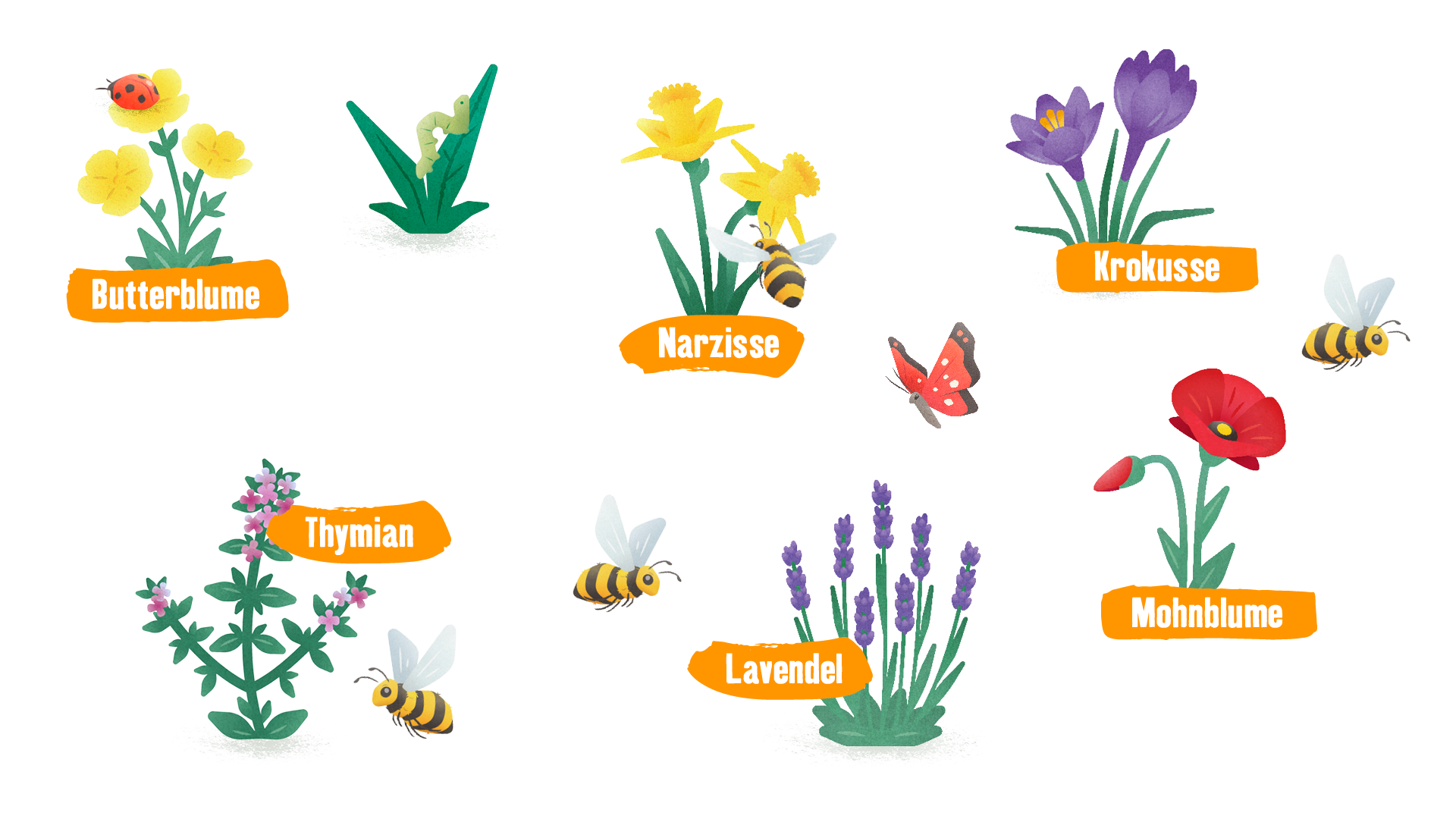 Pflanzen_Infografik_Web Hilf der Biene