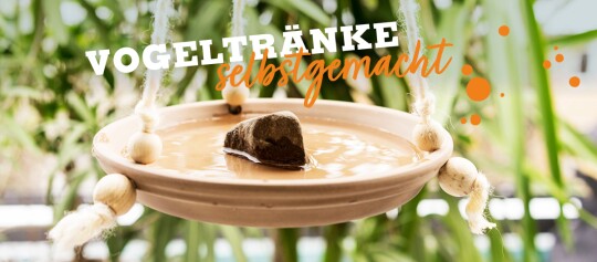 DIY Vogeltränke
