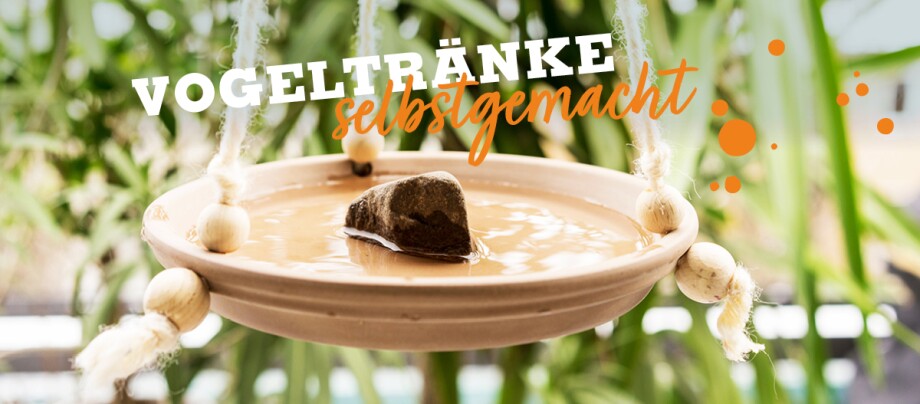 DIY Vogeltränke DIY Vogeltränke