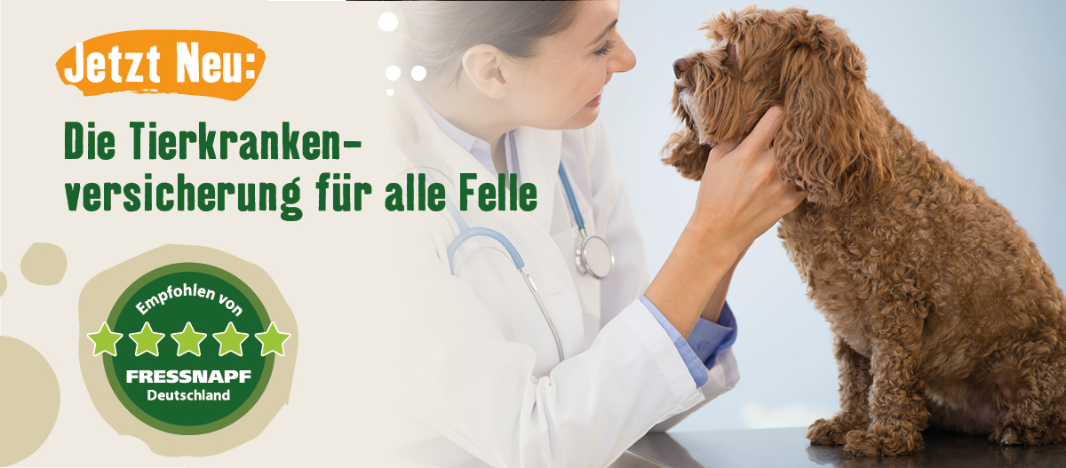 Tierkrankenversicherung Hunde
