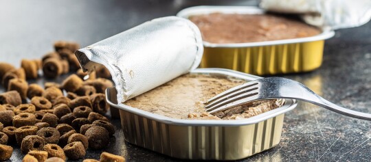 Ein Bild von Nassfutter und Trockenfutter